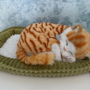 Meet your Posher, Adeline